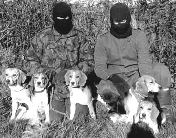 a.l.f animal liberation front movie