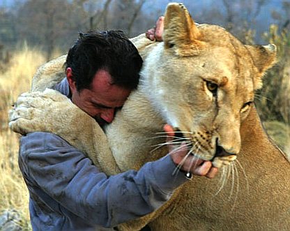 Lioness and whisperer Kevin Richardson