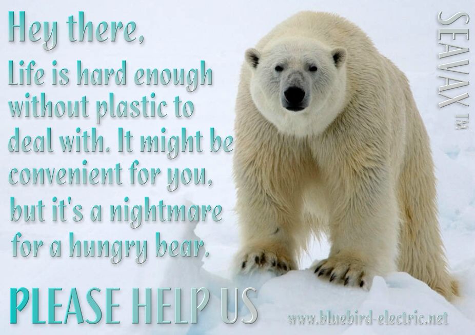Polar bears suffer as a result of plastic ocean pollution