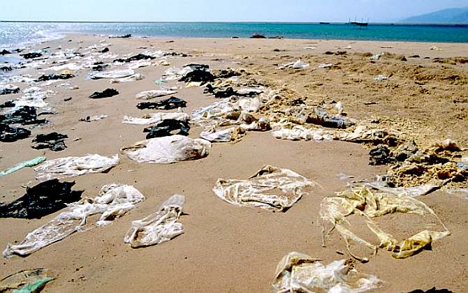 A beach strewn with plastic bags, bin liners and torn sheet
