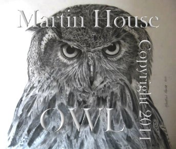 An original Owl pencil drawing by Martin House 