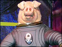 A Space Pig