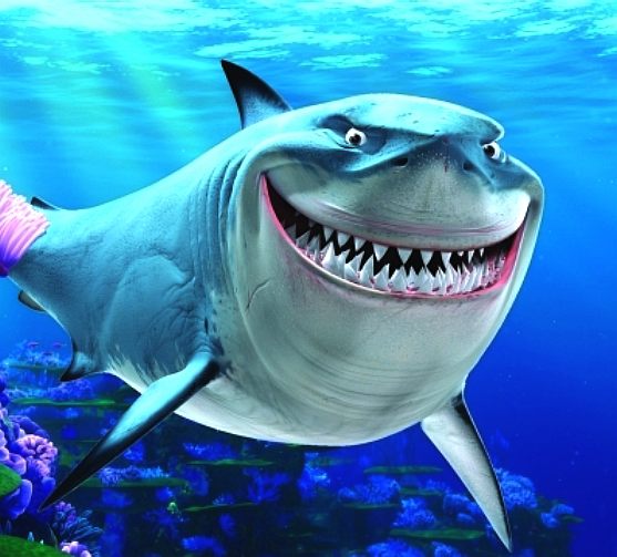 Bruce the friendly shark, in Finding Nemo