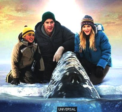 Universal pictures, Big Miracle with Drew Barrymore