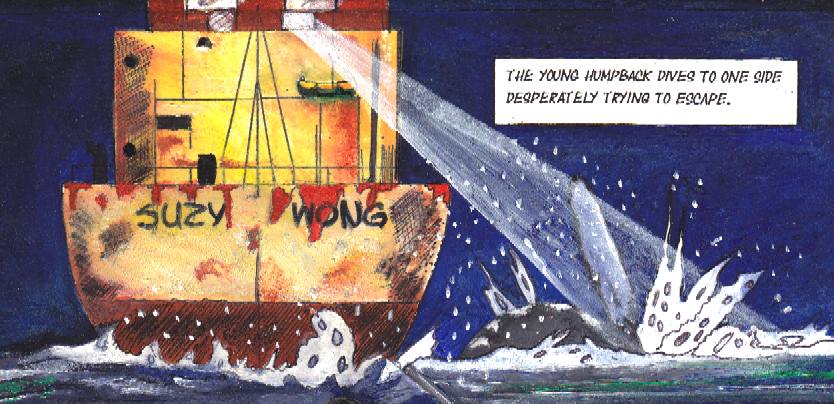Suzy Wong, Japanese pirate whaling ship chases a baby humpback whale