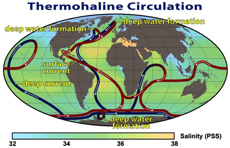 World thermohaline circulation
