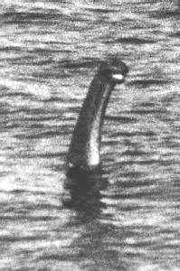 A picture of the alleged Loch Ness Monster taken from Urquhart Castle on May 21 1977