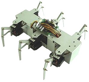 Hexapod Walke Robot RHP DO01