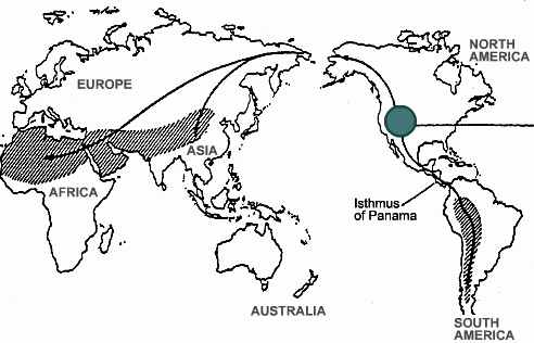 Camelid distribution world map