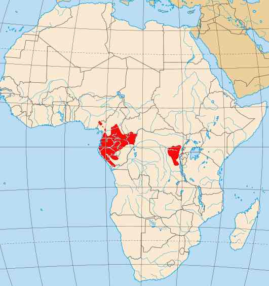 Map shoring Gorilla distribution in Africa