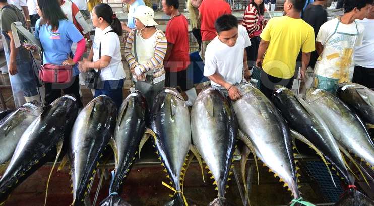 Tuna fish market Philippines
