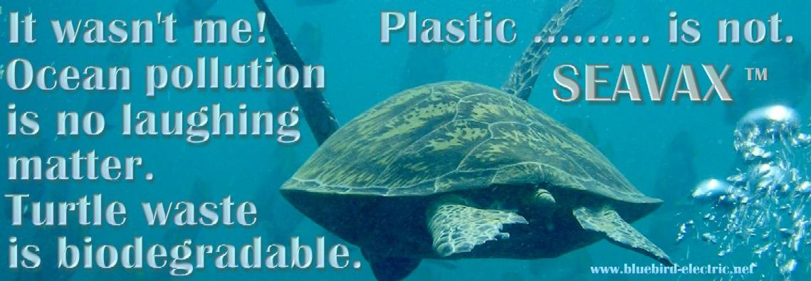 A turtle passes wind underwater, then says ocean pollution is not down to him.