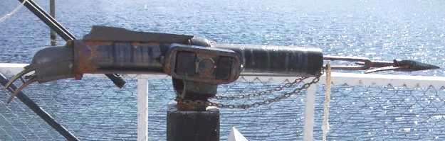 Whaler's compressed air harpoon gun