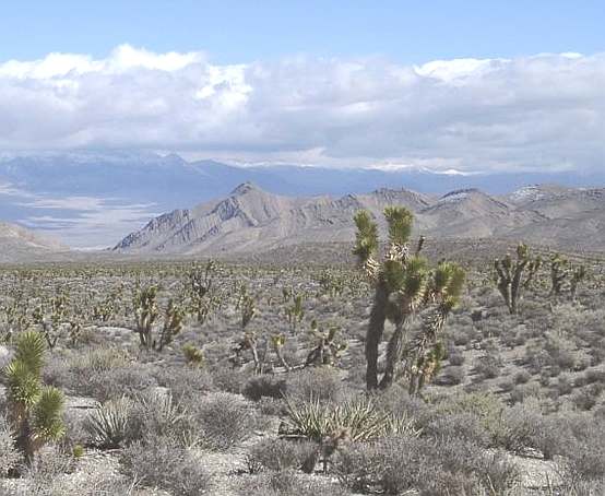 Nevada desert scene in the Las Vegas area
