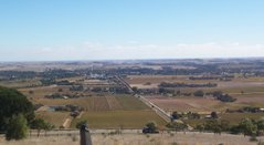 Fewer than 15% of Australians live in rural areas. This picture shows the Barossa Valley wine producing region of South Australia.