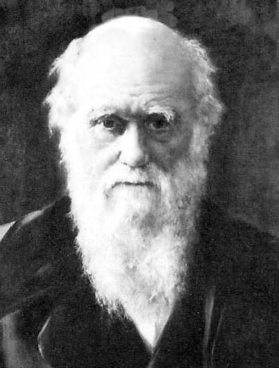 Charles Darwin theory of evolution