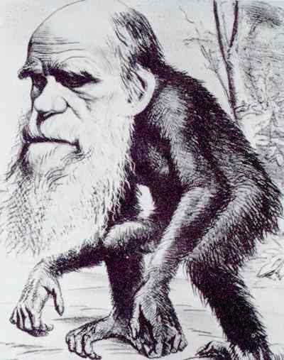 Charles Darwin caricature as an ape