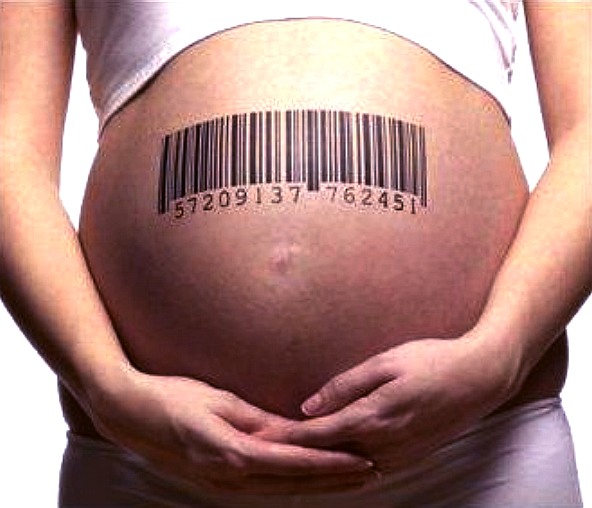 Surrogate motherhood Vs Incubus Autoclone, cyber wars, the politics of reproduction.