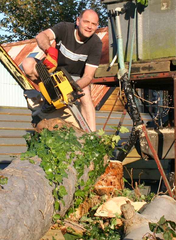 Chain sawing dangerous Sycamore tree to save historic buildings, Nelson Kruschandl