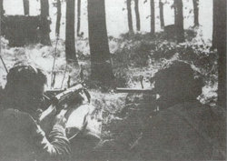  Polish paratroopers in positions on the southern bank of Rhine (Arnhem).