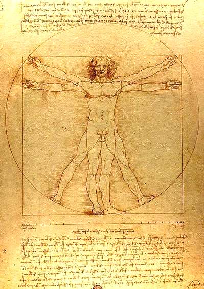 Leonardo da Vinci's vetruvian man