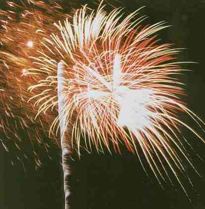 Fireworks display - starburst rocket